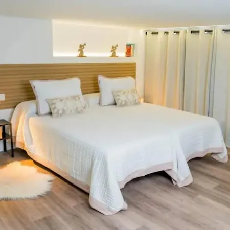 Loft Vista Al Teide شقة