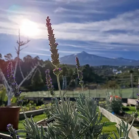 Loft Vista Al Teide Lägenhet
