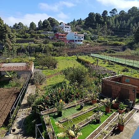 Apartamento Loft Vista Al Teide Icod De Los Vinos
