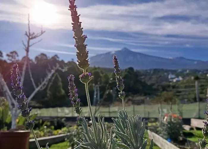 Loft Vista Al Teide Apartamento