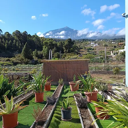 Loft Vista Al Teide Icod De Los Vinos