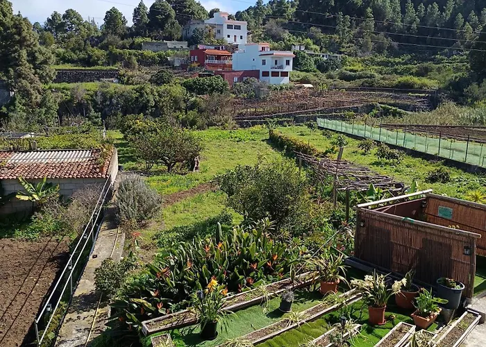 Lejlighed Loft Vista Al Teide Icod De Los Vinos