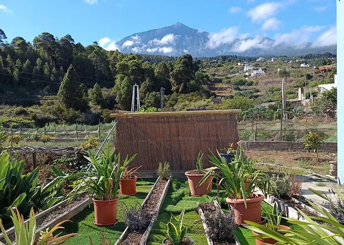 Loft Vista Al Teide Icod De Los Vinos